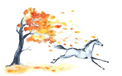 Programme vacances d'automne